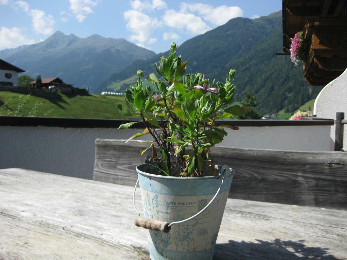 Ferienwohnung Haus Gamskogl Neustift im Stubaital Exterior foto